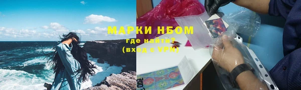 амф Гусь-Хрустальный