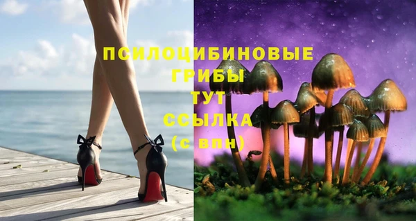меф Алексин