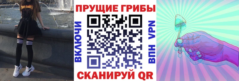 Галлюциногенные грибы ЛСД  сколько стоит  Суджа 